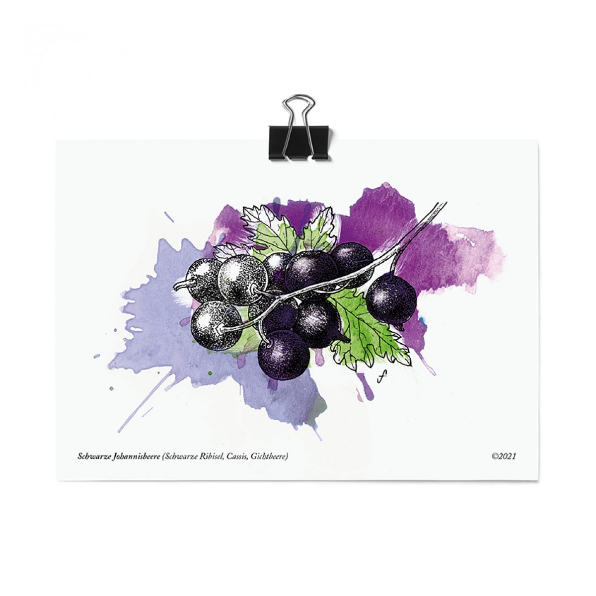 Postkartenset, 16 Obst und Gemüse Postkarten von Kupferstecher.Art