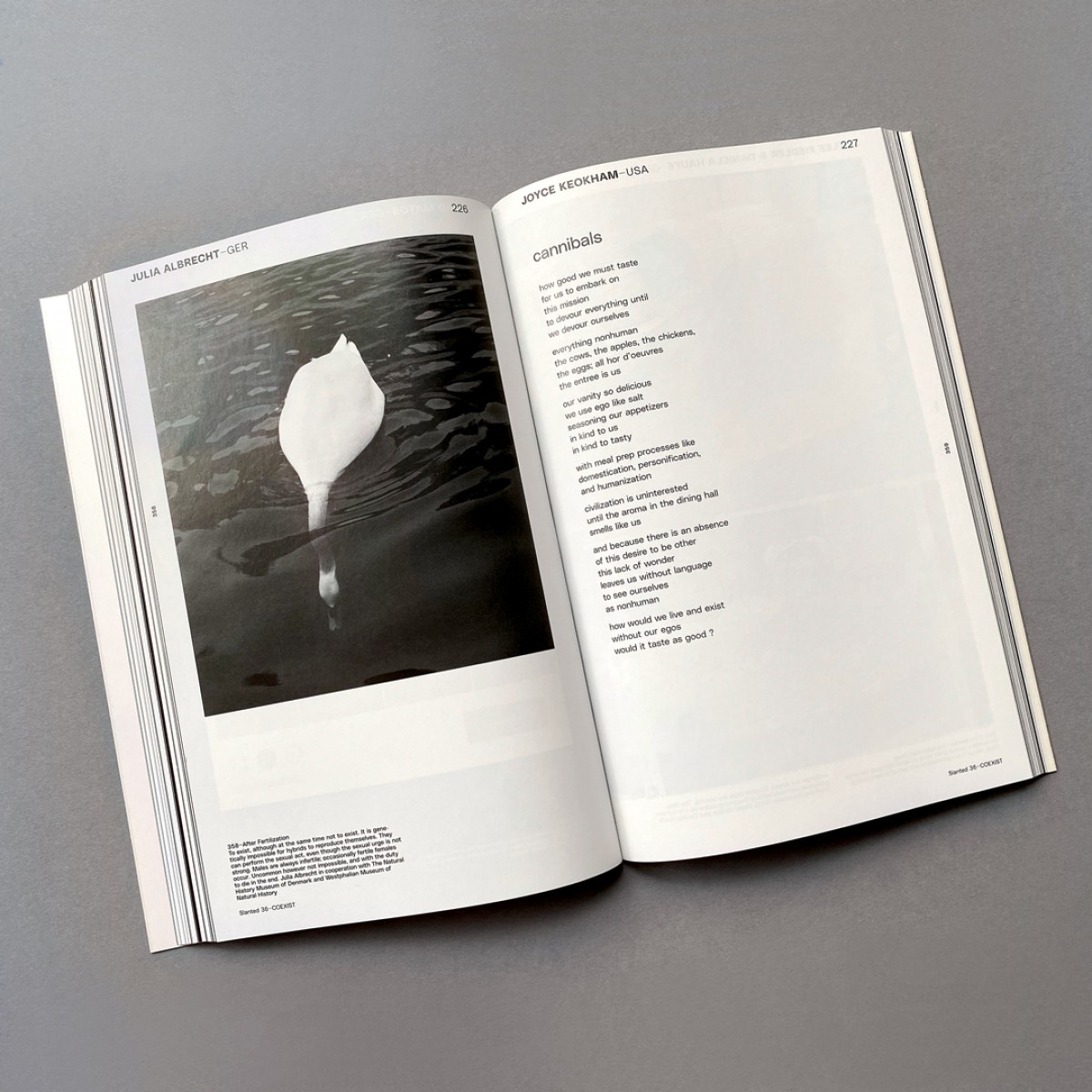 Slanted Magazine #36 – Coexist