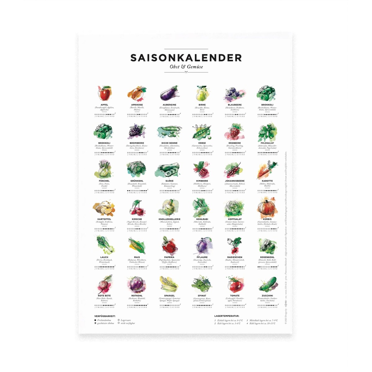 Saisonkalender Obst & Gemüse, Format A4, Poster mit 36 Obst- & Gemüsesorten in Farbe