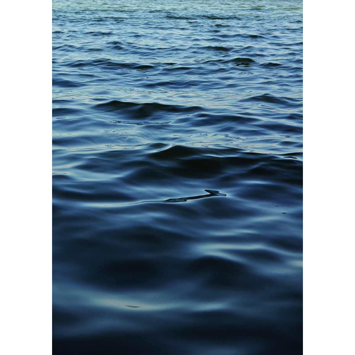 nahili ARTPRINT/POSTER "feet in the WATER" (DIN A1/A3 & 50x70cm) Fotografie Wasser & Wellen