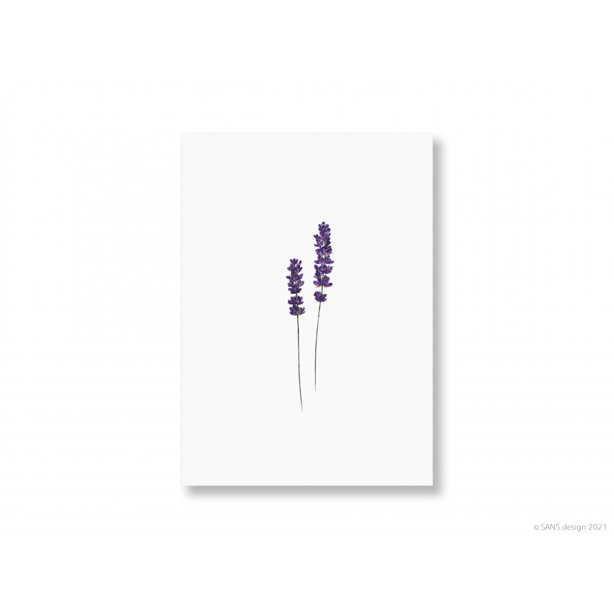 Postkarten-Set, FLORAL - SANS.