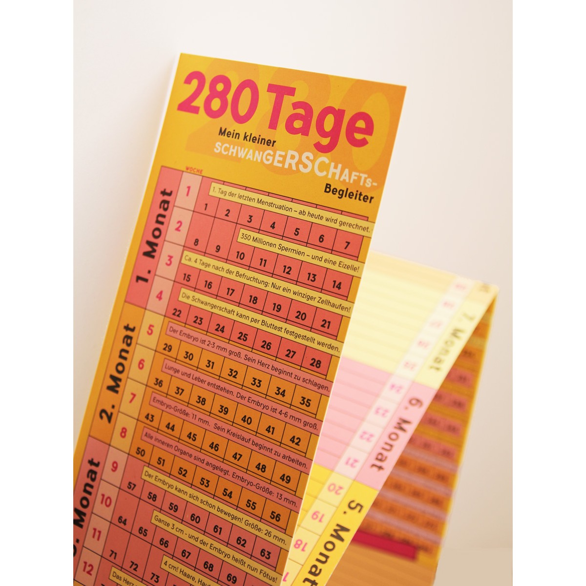 Schwangerschaftskalender mit Mini-Tagebuch | Variante „Pink-Orange-Rosa-Gelb“ | 280 Tage | beidseitig bedruckt