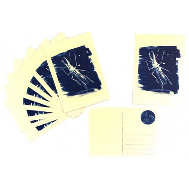 Postkartenset Cyanotypie Scarabaeus