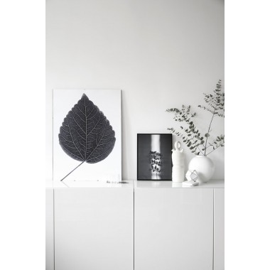 nahili ARTPRINT / POSTER "...and closer HIBISCUS - green Artprint look closer HIBISCUS - black"  (DIN A1/A3 & 50x70cm) Blatt Botanic Fotografie 