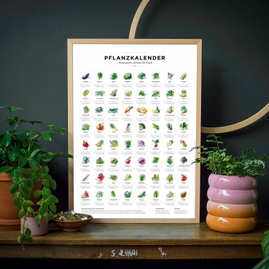 50x70cm Pflanzkalender und Aussaatkalender für den Garten