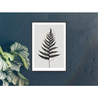 typealive / ABC Plants - O