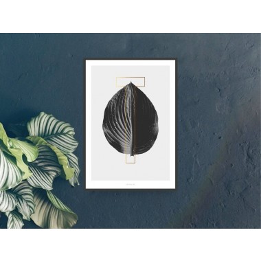 typealive / ABC Plants - T