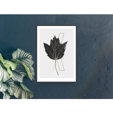typealive / ABC Plants - X
