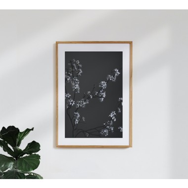 nahili ARTPRINT / POSTER "moody flower BEAUTY" schwarzer Kirsch-Blüten Druck (DIN A1/A3 & 50x70cm) Fotografie