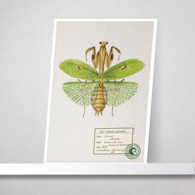 Hey Urban Monkey - 
A4 Poster - 
„Sacred Mantis“