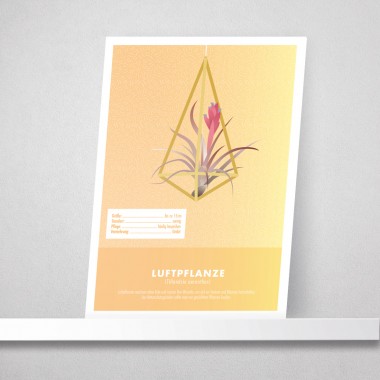 Hey Urban Monkey - A4 Poster - „Luftpflanze“