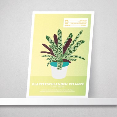 Hey Urban Monkey - A4 Poster - „Klapperschlangen Pflanze“