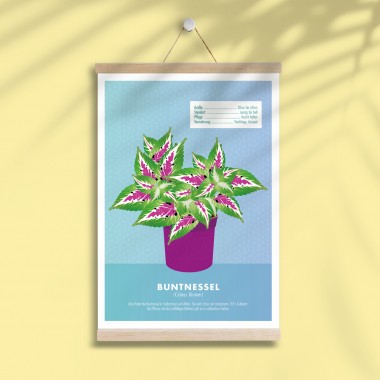 Hey Urban Monkey - A4 Poster - „Coleus blumei“