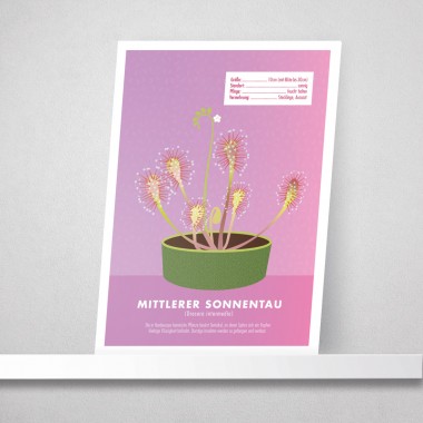 Hey Urban Monkey - A4 Poster - „Sonnentau“