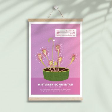 Hey Urban Monkey - A4 Poster - „Sonnentau“