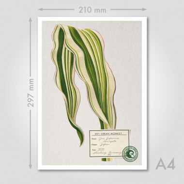 Hey Urban Monkey - A4 Poster - „Zea Japonica“