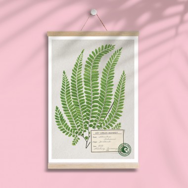Hey Urban Monkey - A4 Poster - „Adiantum Pubescens“