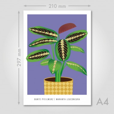 Hey Urban Monkey - A4 Poster - „Pfeilwurz“