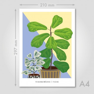 Hey Urban Monkey - A4 Poster - „Feigengewächse“