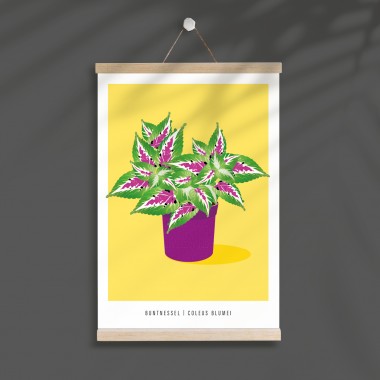 Hey Urban Monkey - A4 Poster - „Buntnessel“