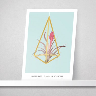 Hey Urban Monkey - A4 Poster - „Luftpflanze“