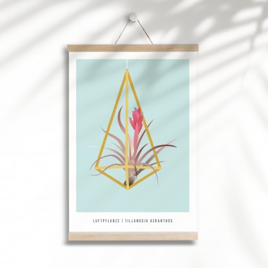 Hey Urban Monkey - A4 Poster - „Luftpflanze“