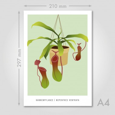 Hey Urban Monkey - A4 Poster - „Kannenpflanze“