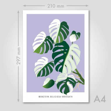 Hey Urban Monkey - A4 Doppelposter - „Monstera Varigata“