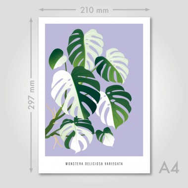 Hey Urban Monkey - A4 Doppelposter - „Monstera Varigata“