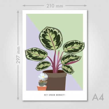 Hey Urban Monkey - A4 Poster - „Calathea Medaillon/Lebender Stein“