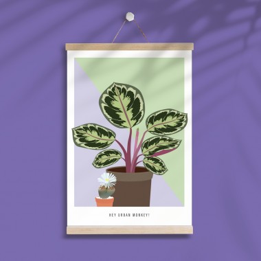 Hey Urban Monkey - A4 Poster - „Calathea Medaillon/Lebender Stein“