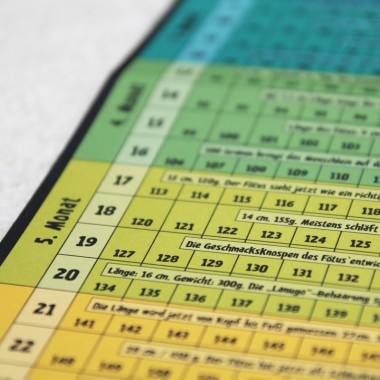 Schwangerschaftskalender mit Mini-Tagebuch