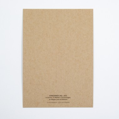 KLEINWAREN / VON LAUFENBERG Schopf-Tintling Postkarte