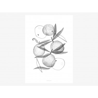 typealive / Print / Clementines