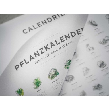 A2 Pflanzkalender und Aussaatkalender für den Garten, Aussaatzeiten für 64 verschiedene Gemüsesorten als Poster in Farbe mit und ohne Rahmen
