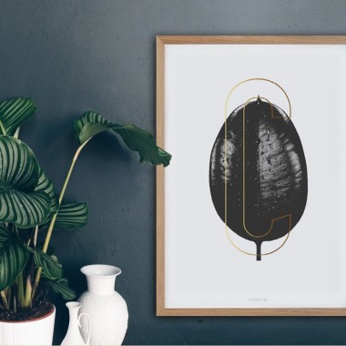 typealive / ABC Plants - C