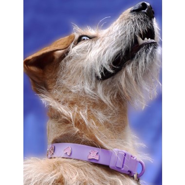 Herz Hundehalsband Anhänger - PawPopz