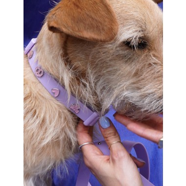 Hundehalsband Outdoor wasserfest Lila - PawPopz