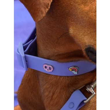 Breze Hundehalsband Anhänger - PawPopz