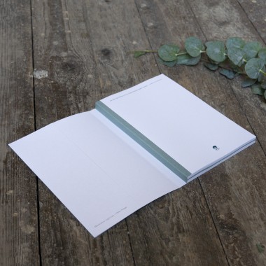 Medusa II Journal ~ typocean ~