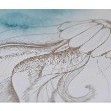 Medusa II Journal ~ typocean ~