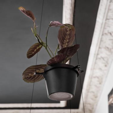 ORBIT Pflanzenampel | Result Objects