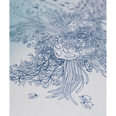 Reef Journal ~ typocean ~