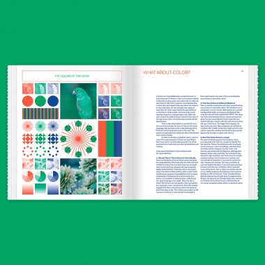 Flexible Visual Systems