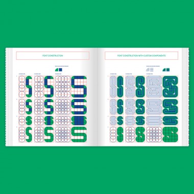 Flexible Visual Systems