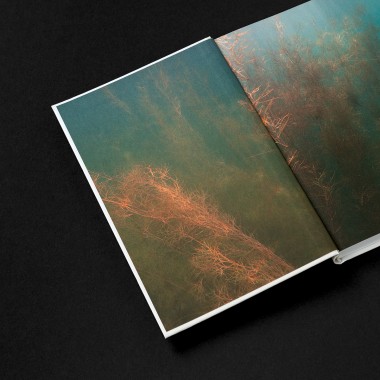 Tender Digitality