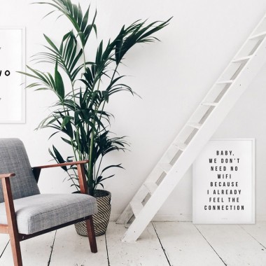 typealive / Connection