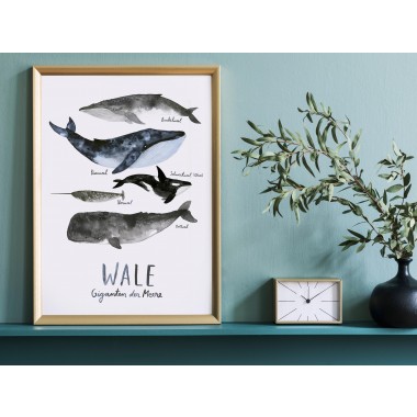 typealive / Print / Wale