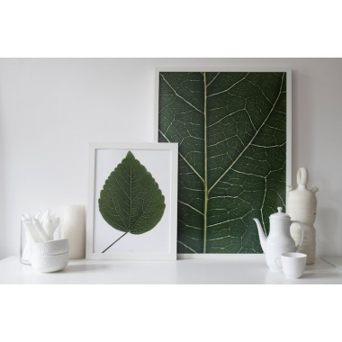 nahili ARTPRINT / POSTER "look real close HIBISCUS - detail green leafe" (DIN A1/A3 & 50x70cm) Blatt Botanic Fotografie