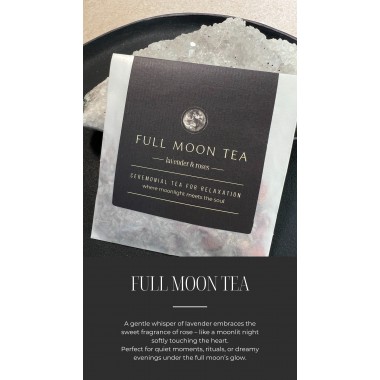 Mond Ritual Geschenkset 2027 // ShellyCreates